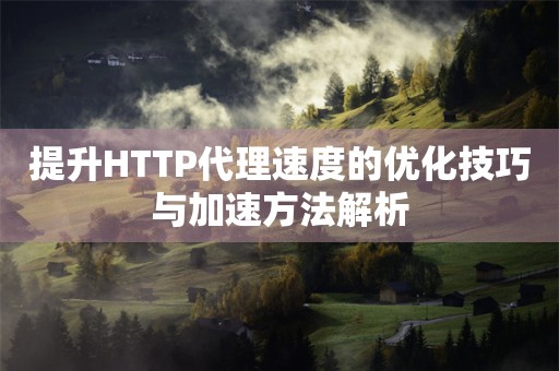 提升HTTP代理速度的优化技巧与加速方法解析