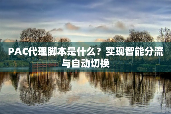 PAC代理脚本是什么？实现智能分流与自动切换