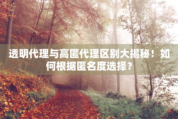 透明代理与高匿代理区别大揭秘！如何根据匿名度选择？