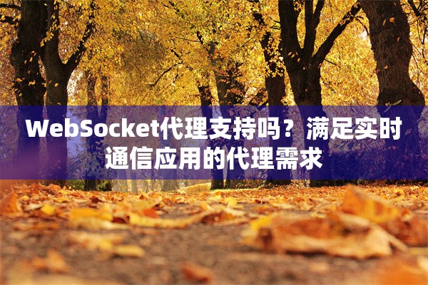 WebSocket代理支持吗？满足实时通信应用的代理需求
