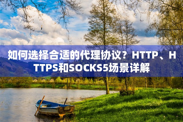 如何选择合适的代理协议？HTTP、HTTPS和SOCKS5场景详解
