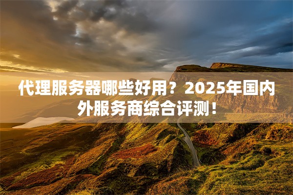 代理服务器哪些好用?2025年国内外服务商综合评测!