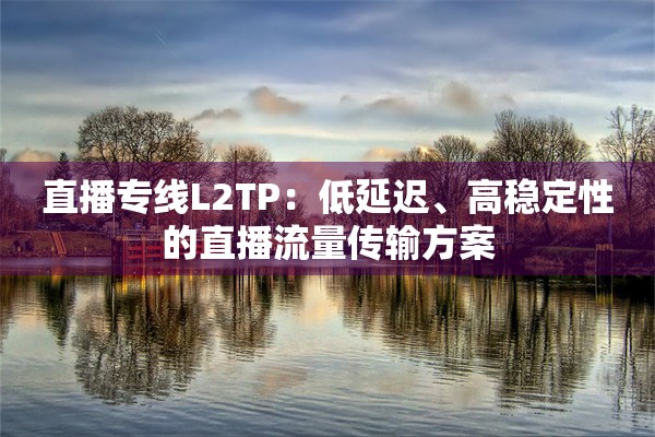 直播专线L2TP:低延迟、高稳定性的直播流量传输方案