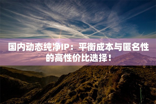 国内动态纯净IP:平衡成本与匿名性的高性价比选择!