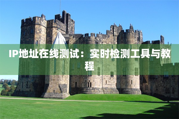 IP地址在线测试:实时检测工具与教程