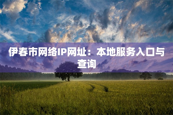 伊春市网络IP网址:本地服务入口与查询