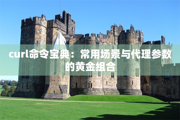 curl命令宝典:常用场景与代理参数的黄金组合