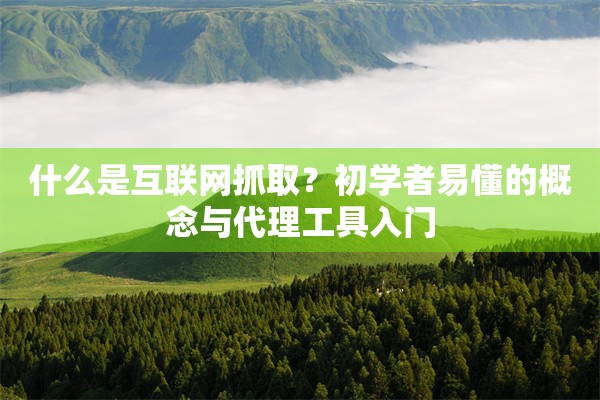 什么是互联网抓取?初学者易懂的概念与代理工具入门