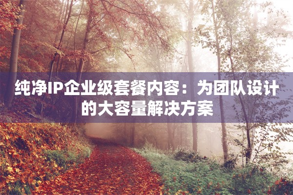 纯净IP企业级套餐内容：为团队设计的大容量解决方案