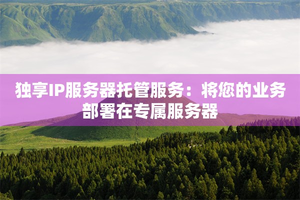 独享IP服务器托管服务：将您的业务部署在专属服务器