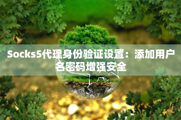 Socks5代理身份验证设置：添加用户名密码增强安全