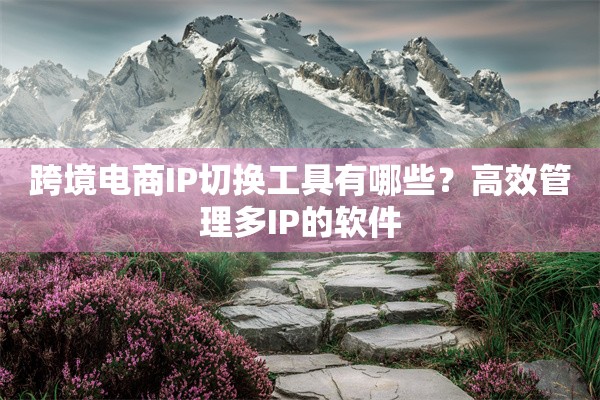 跨境电商IP切换工具有哪些？高效管理多IP的软件
