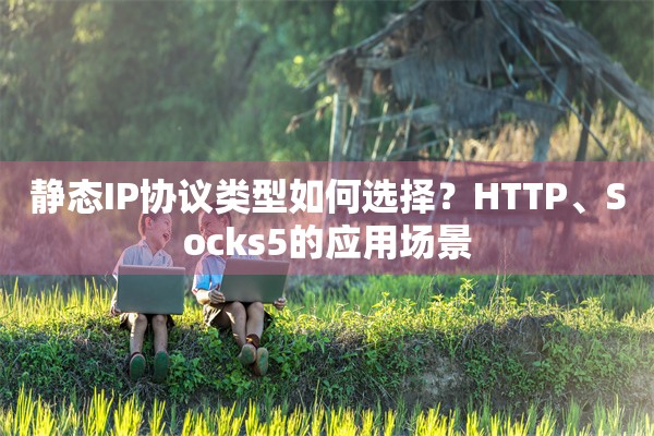 静态IP协议类型如何选择？HTTP、Socks5的应用场景