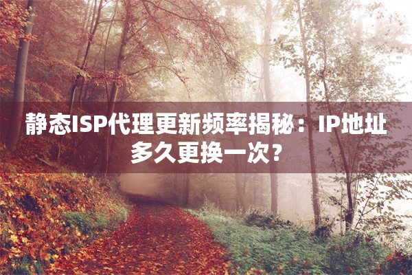 静态ISP代理更新频率揭秘：IP地址多久更换一次？