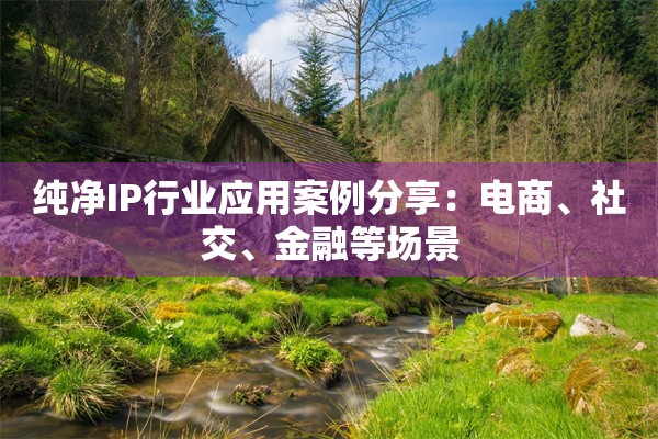 纯净IP行业应用案例分享：电商、社交、金融等场景