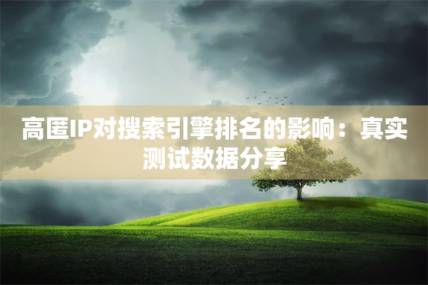 高匿IP对搜索引擎排名的影响：真实测试数据分享