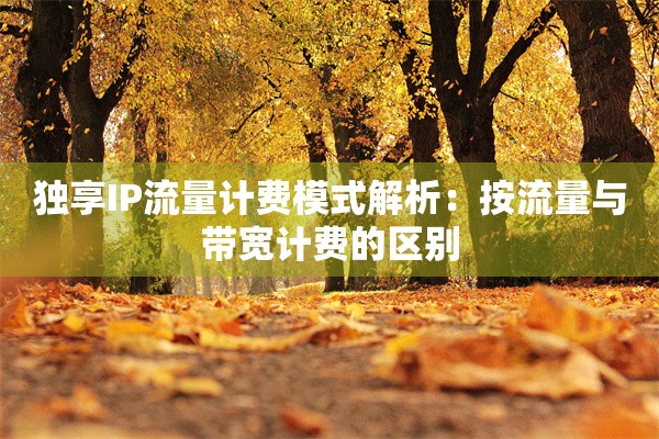 独享IP流量计费模式解析：按流量与带宽计费的区别