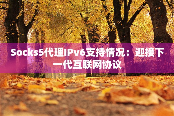 Socks5代理IPv6支持情况：迎接下一代互联网协议