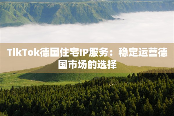 TikTok德国住宅IP服务：稳定运营德国市场的选择