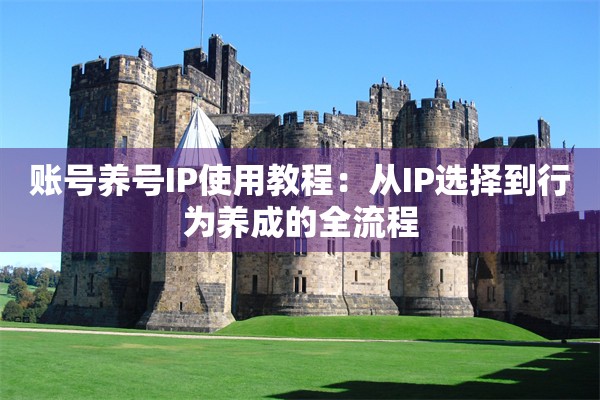 账号养号IP使用教程：从IP选择到行为养成的全流程