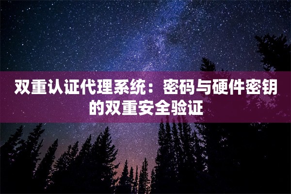 双重认证代理系统：密码与硬件密钥的双重安全验证