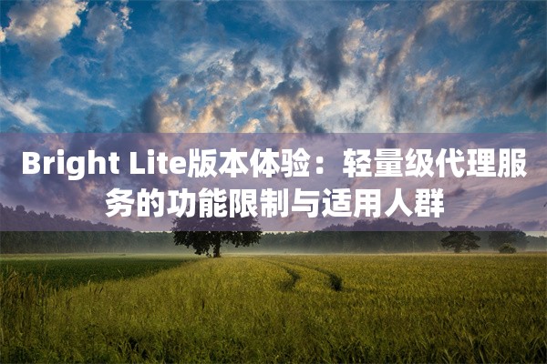 Bright Lite版本体验：轻量级代理服务的功能限制与适用人群