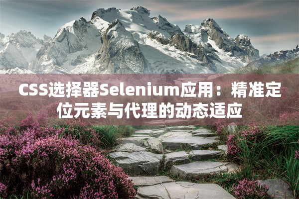 CSS选择器Selenium应用：精准定位元素与代理的动态适应