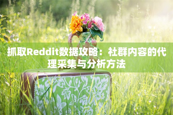 抓取Reddit数据攻略：社群内容的代理采集与分析方法