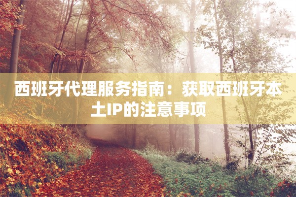 西班牙代理服务指南：获取西班牙本土IP的注意事项