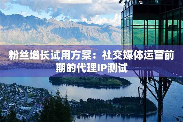 粉丝增长试用方案：社交媒体运营前期的代理IP测试