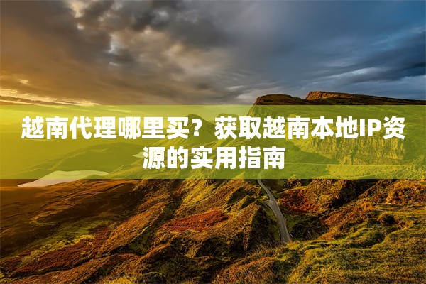 越南代理哪里买？获取越南本地IP资源的实用指南