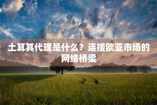 土耳其代理是什么？连接欧亚市场的网络桥梁