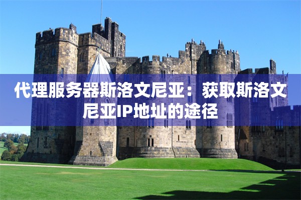 代理服务器斯洛文尼亚：获取斯洛文尼亚IP地址的途径