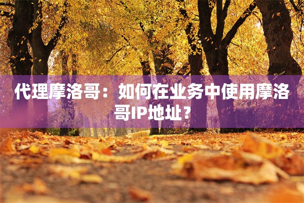 代理摩洛哥：如何在业务中使用摩洛哥IP地址？