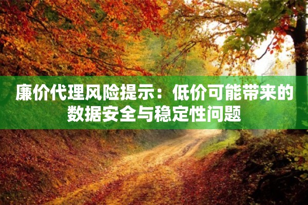 廉价代理风险提示：低价可能带来的数据安全与稳定性问题