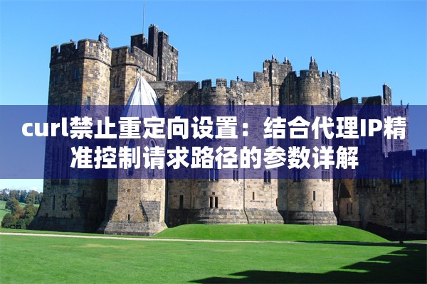 curl禁止重定向设置：结合代理IP精准控制请求路径的参数详解