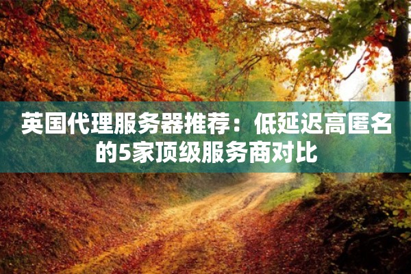 英国代理服务器推荐：低延迟高匿名的5家顶级服务商对比