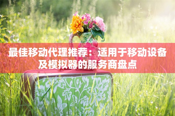 最佳移动代理推荐：适用于移动设备及模拟器的服务商盘点