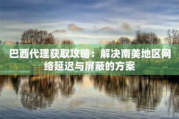 巴西代理获取攻略：解决南美地区网络延迟与屏蔽的方案