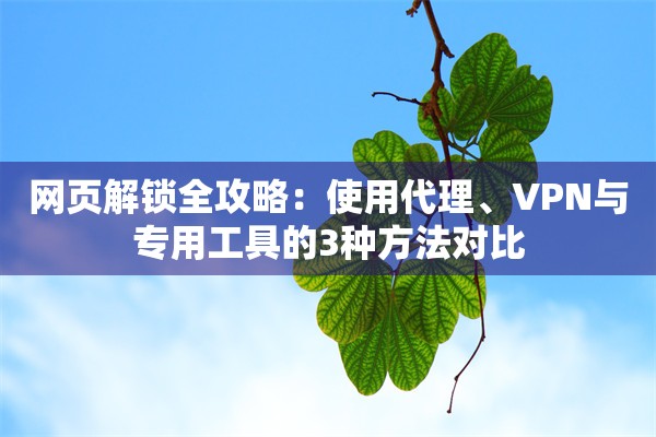 网页解锁全攻略：使用代理、VPN与专用工具的3种方法对比