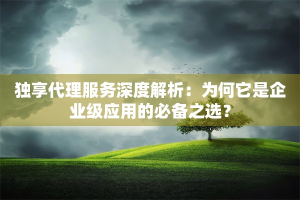 独享代理服务深度解析：为何它是企业级应用的必备之选？
