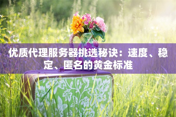 优质代理服务器挑选秘诀：速度、稳定、匿名的黄金标准