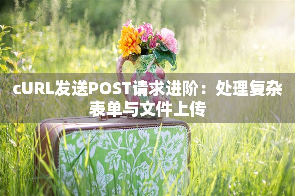 cURL发送POST请求进阶：处理复杂表单与文件上传