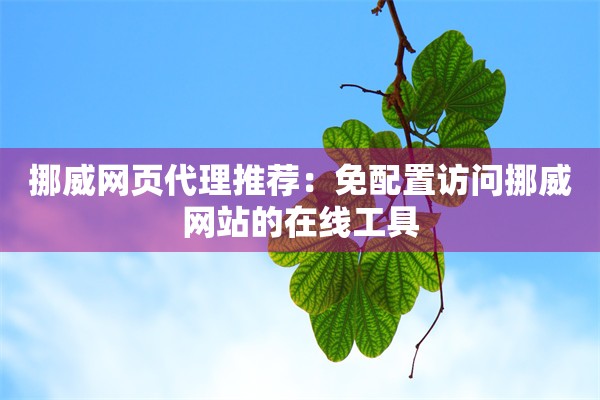 挪威网页代理推荐：免配置访问挪威网站的在线工具