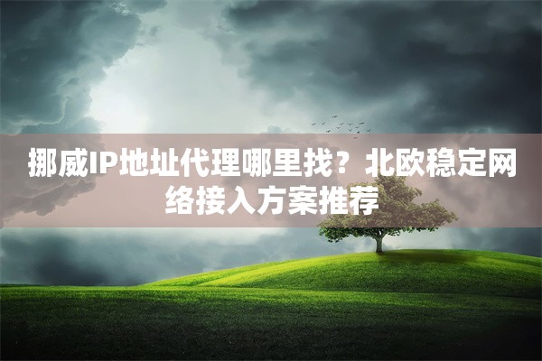 挪威IP地址代理哪里找？北欧稳定网络接入方案推荐