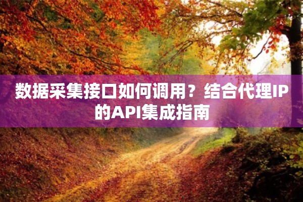 数据采集接口如何调用？结合代理IP的API集成指南