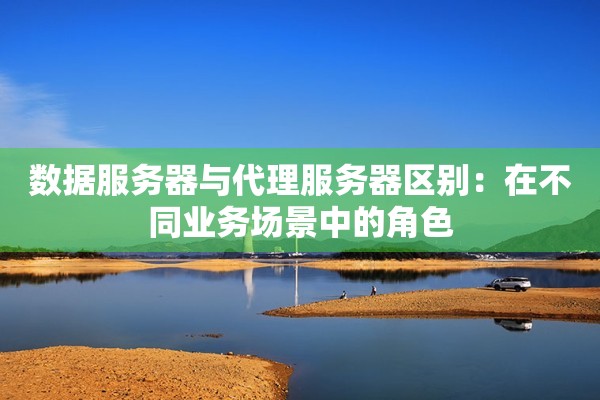 数据服务器与代理服务器区别：在不同业务场景中的角色