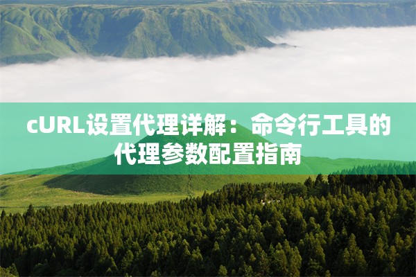 cURL设置代理详解:命令行工具的代理参数配置指南