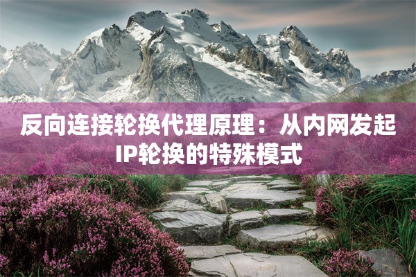 反向连接轮换代理原理:从内网发起IP轮换的特殊模式