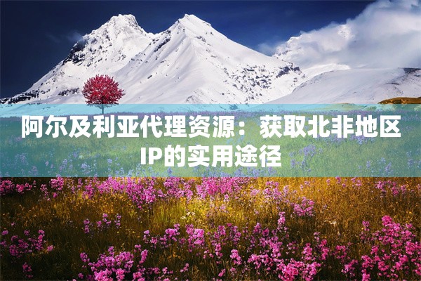 阿尔及利亚代理资源:获取北非地区IP的实用途径